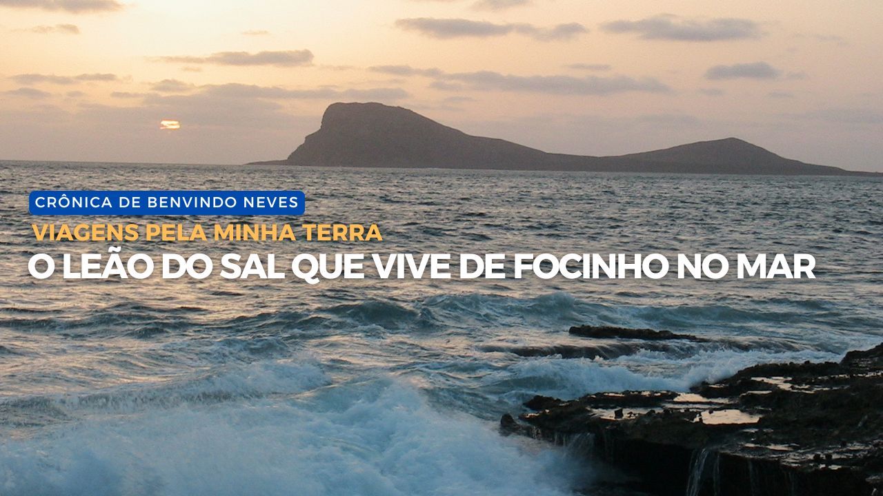 Viagens Pela Minha Terra: O leão do Sal que vive de focinho no mar