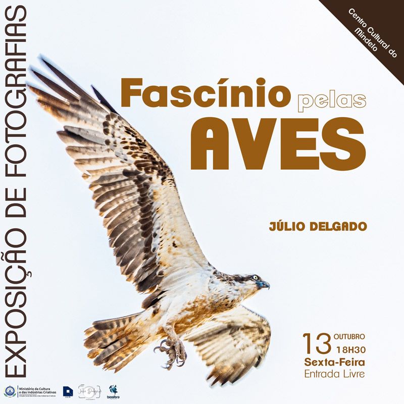 ExposiÃ§Ã£o de Fotografias Â«FascÃ­nio pelas AvesÂ» de JÃºlio Delgado, no Centro Cultural do Mindelo